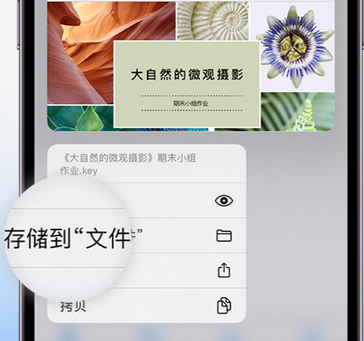 孝义apple维修中心分享iPhone文件应用中存储和找到下载文件