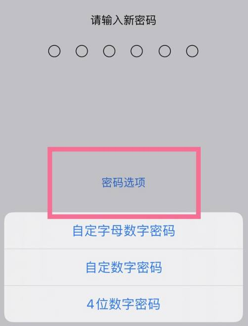 孝义苹果14维修分享iPhone 14plus设置密码的方法 