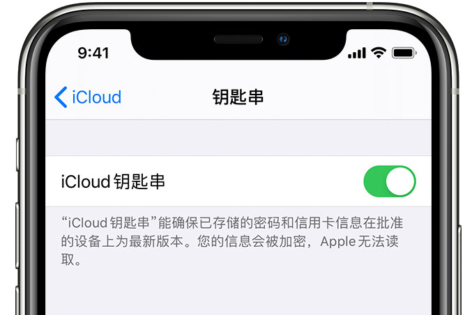 孝义苹果手机维修分享在 iPhone 上开启 iCloud 钥匙串之后会储存哪些信息 